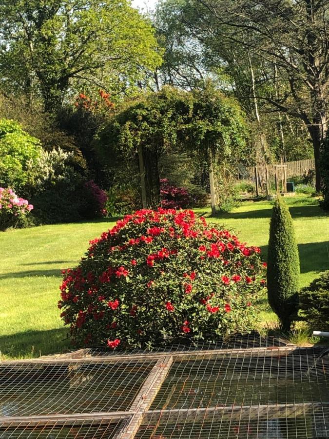 Llyswen Large Bedroom In Top Part Of Bungalow With Garden View And Balcony Sleeps Three Aberystwyth Bagian luar foto